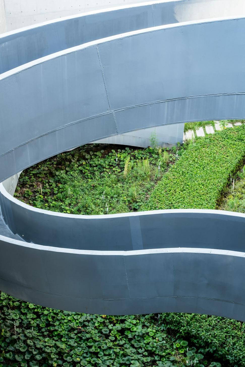 Rosedale Net-Zero Residence