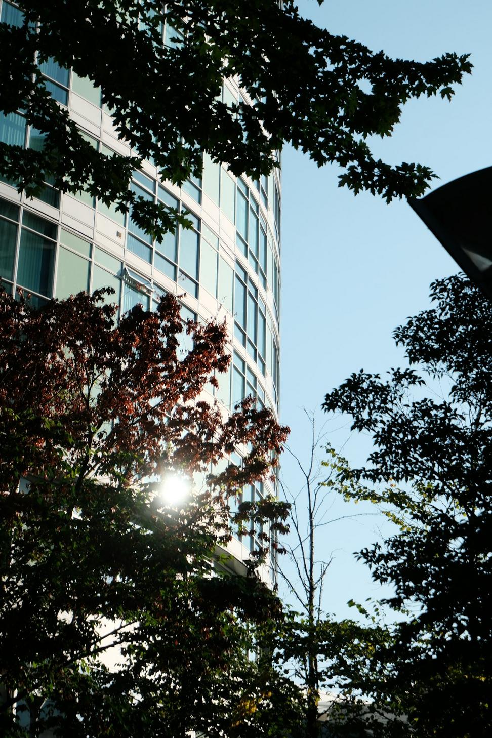 Junction Tech Hub